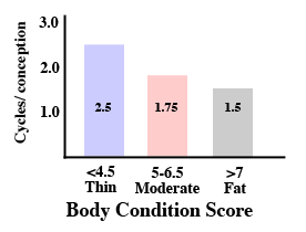 bar graph shoeing that thin mare take 2.5 cyces/conception, moderate mares 1.75 cycles / conception and fat mares have 1.5 cycles/ conception