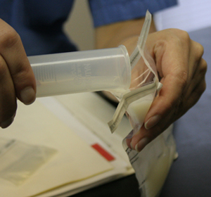 diluted semen is poured into the whirlpac bag