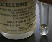 .5 ml cushion buffer in tube