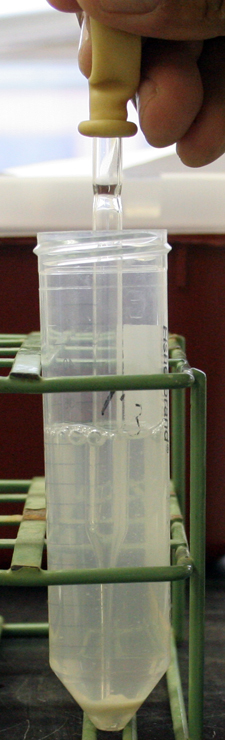 use pipette to remove cushion buffer after centrifugation