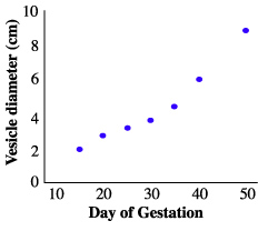 chart of vesicle diameter vs fetal age