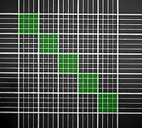 low magnification of hemocytometer grid