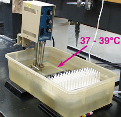water bath at 37-39&deg;C with tube rack